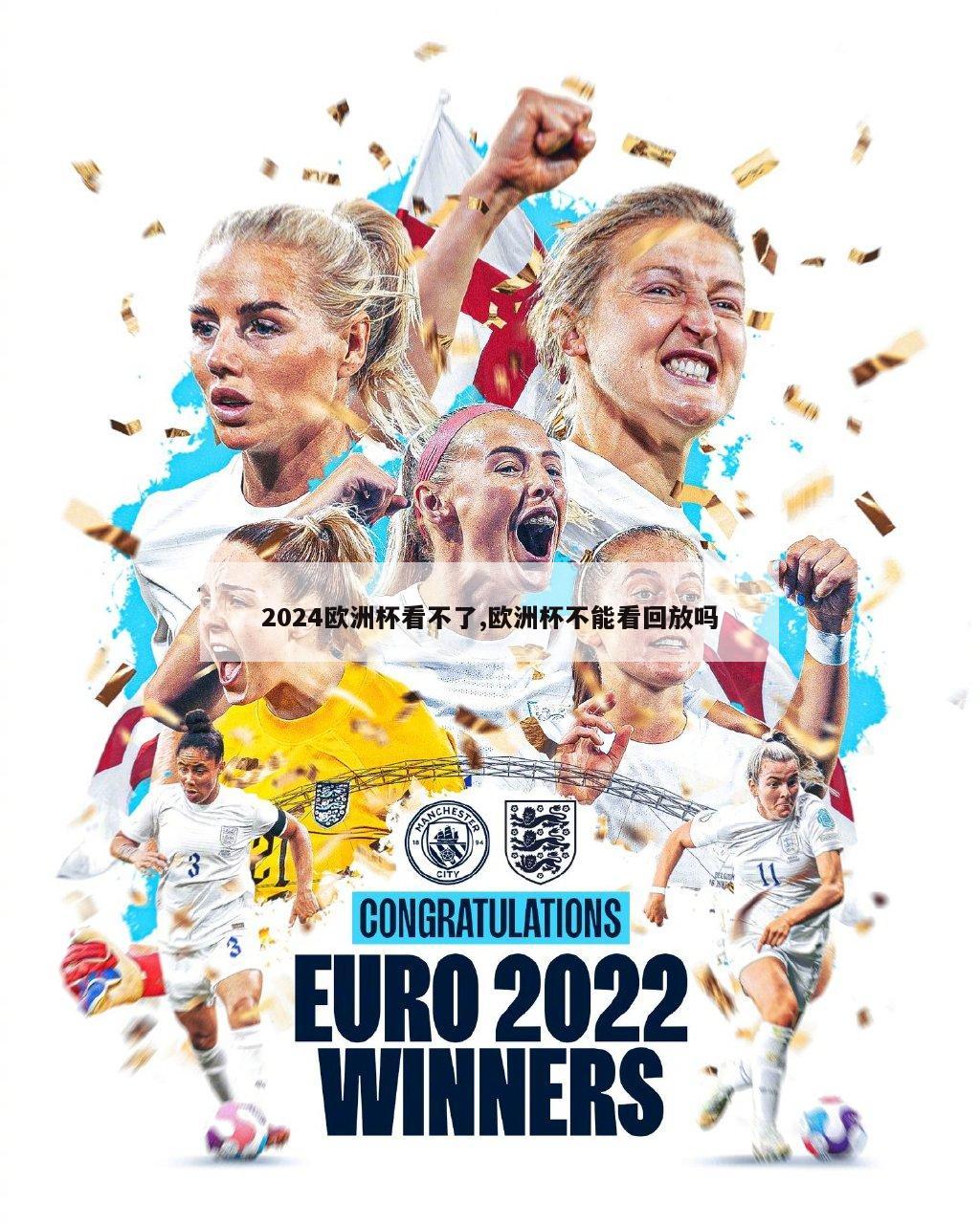 2024欧洲杯看不了,欧洲杯不能看回放吗