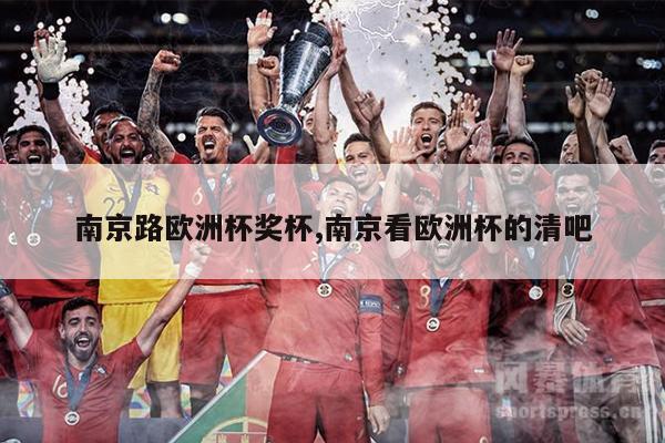 南京路欧洲杯奖杯,南京看欧洲杯的清吧